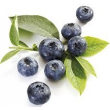 Blueberry (Wild) 10ml The Flavor Apprentice